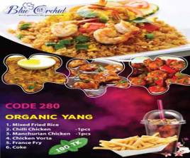 280 Platter Eight